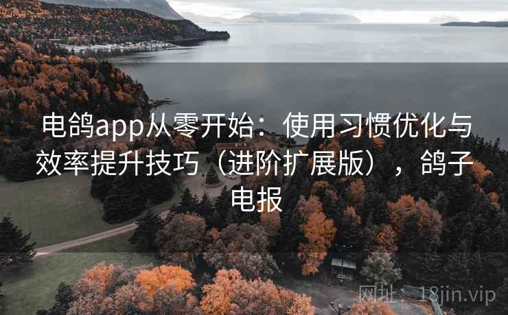 电鸽app从零开始:使用习惯优化与效率提升技巧(进阶扩展版),鸽子电报 电鸽app从零开始:使用习惯优化与效率提升技巧(进阶扩展版),鸽子电报