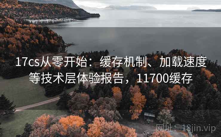 17cs从零开始：缓存机制、加载速度等技术层体验报告，11700缓存