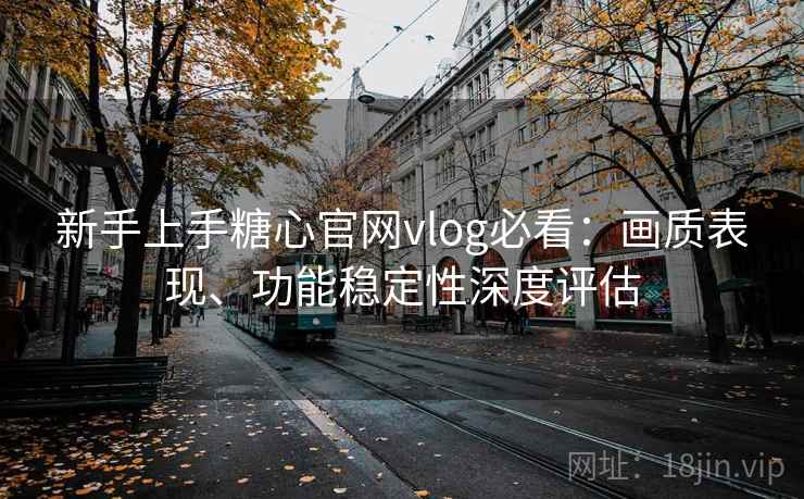 新手上手糖心官网vlog必看：画质表现、功能稳定性深度评估