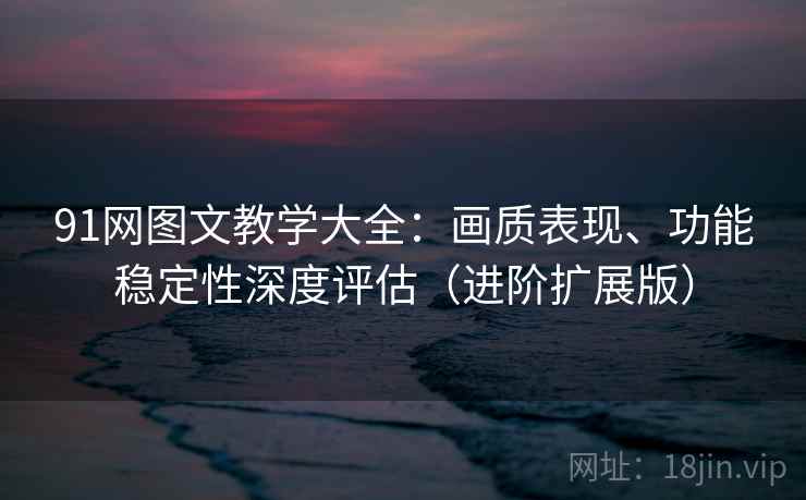 91网图文教学大全：画质表现、功能稳定性深度评估（进阶扩展版）