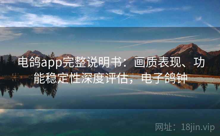 电鸽app完整说明书：画质表现、功能稳定性深度评估，电子鸽钟