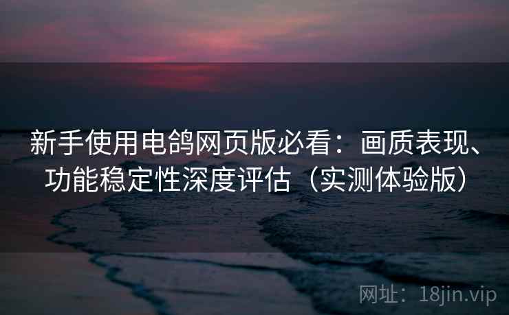 新手使用电鸽网页版必看：画质表现、功能稳定性深度评估（实测体验版）