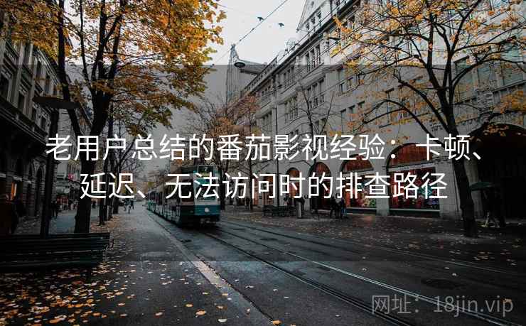 老用户总结的番茄影视经验：卡顿、延迟、无法访问时的排查路径