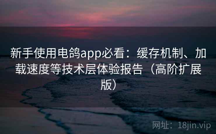 新手使用电鸽app必看：缓存机制、加载速度等技术层体验报告（高阶扩展版）