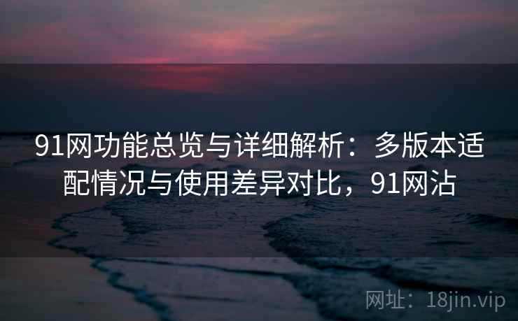91网功能总览与详细解析：多版本适配情况与使用差异对比，91网沾