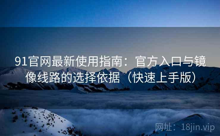 91官网最新使用指南：官方入口与镜像线路的选择依据（快速上手版）